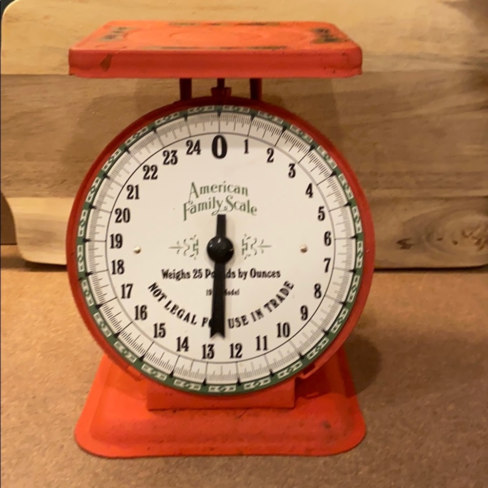 1906 Vintage American Family Scale Retro
